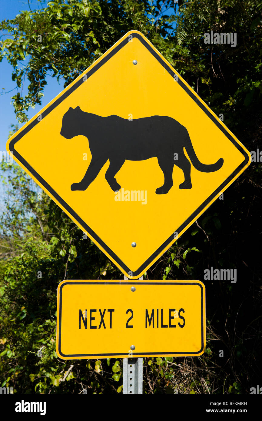Un segnale di avvertimento per indicare le pantere attraversando la strada, Everglades National Park, Florida, Stati Uniti d'America Foto Stock