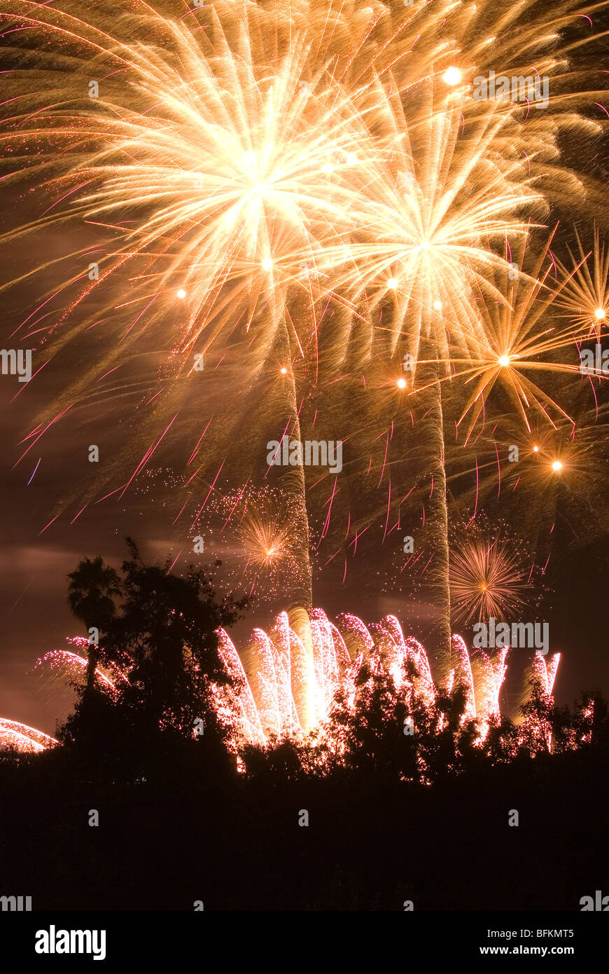 Fuochi d'artificio. Vigo, Pontevedra, Spagna. Foto Stock