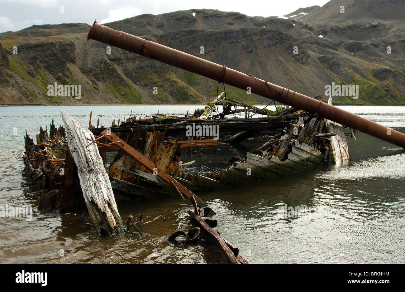 Georgia del Sud, Sud Atlantico Grytviken whale industria macchine per la formazione di ruggine e marciume legnami della nave Foto Stock