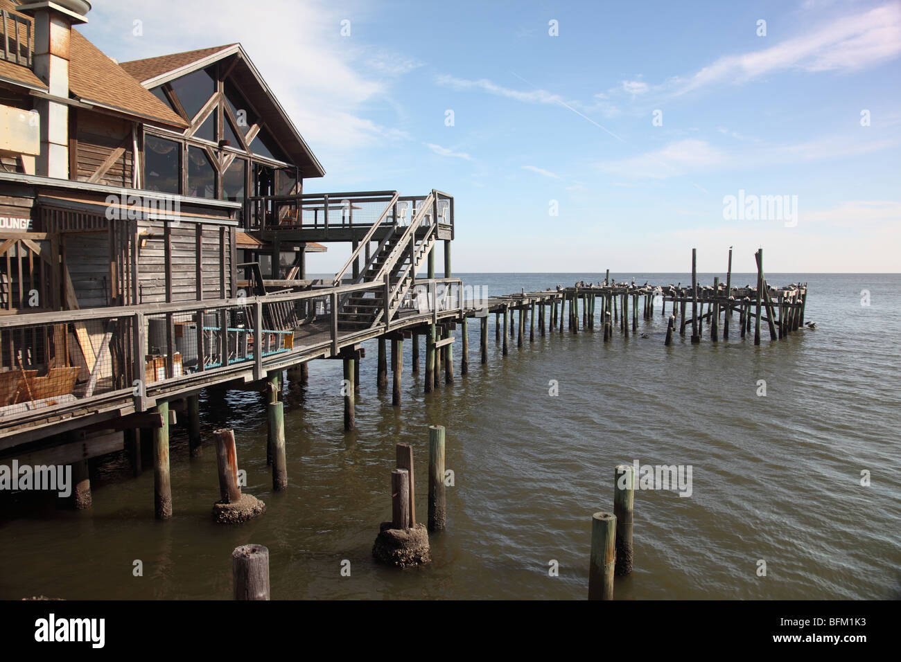 Stilt edificio con molo vecchio e dock dove il mare gli uccelli amore di appollaiarsi in Cedar Key Florida, Stati Uniti d'America Foto Stock