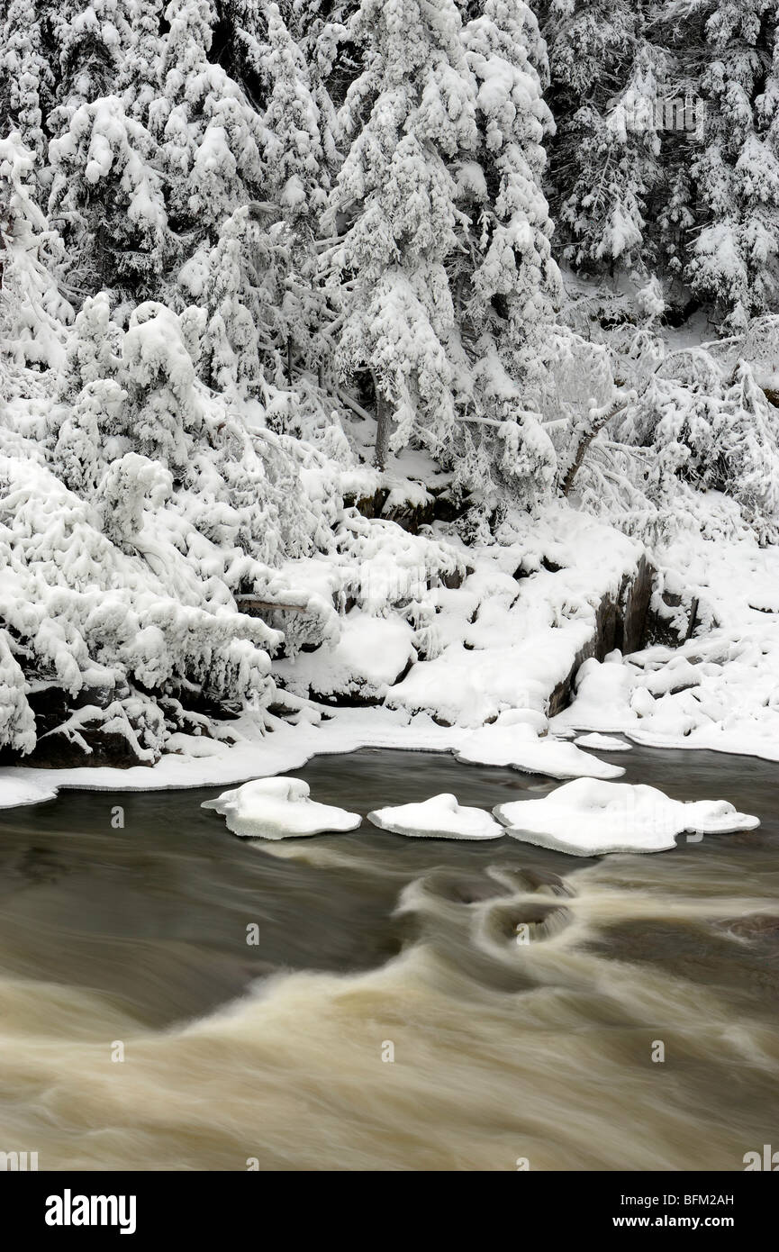 Il fiume di erba in inizio inverno, Pisew Falls Provincial Park, Manitoba, Canada Foto Stock