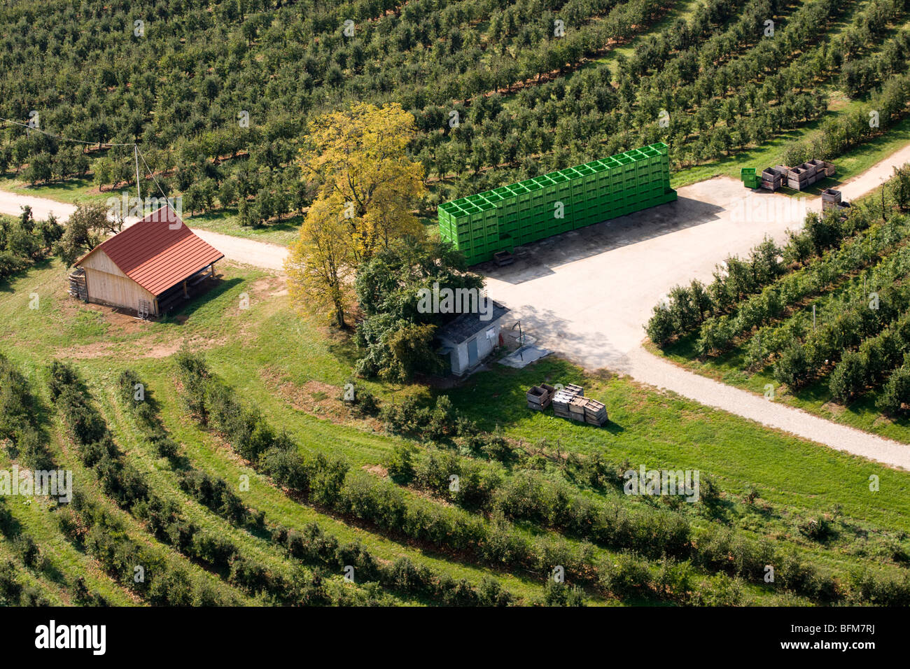 Vista da sopra sulla orchard-apple farm. Foto Stock