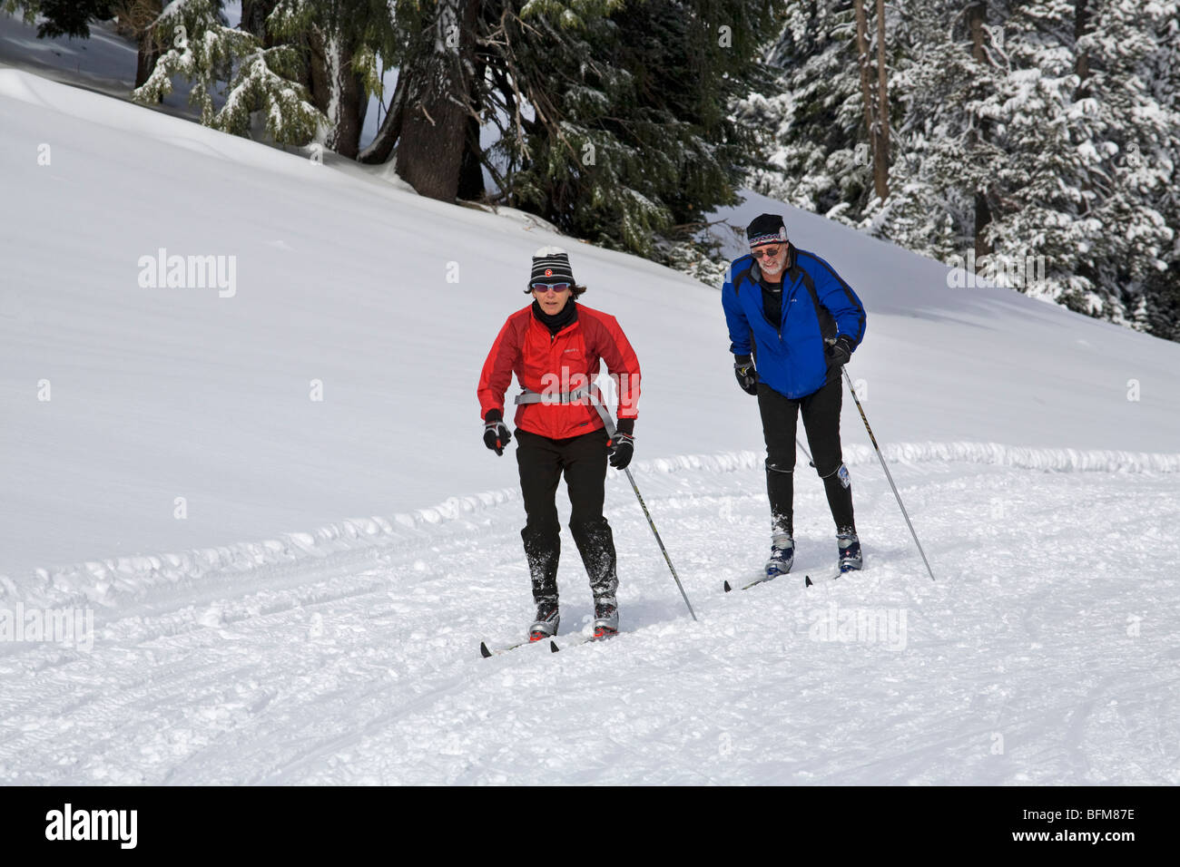 Nordic o fondisti su un sentiero curato a Mount Bachelor Nordic Ski area in Oregon Cascade Mountains vicino a piegare. Foto Stock