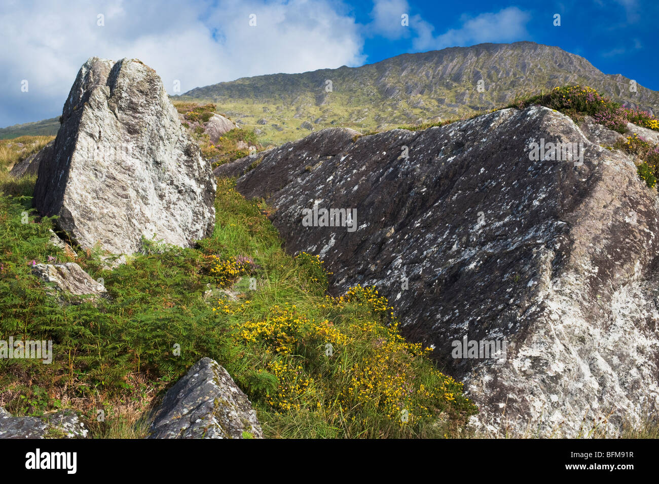 Sugarloaf Mountain, Beara, West Cork, Irlanda Foto Stock