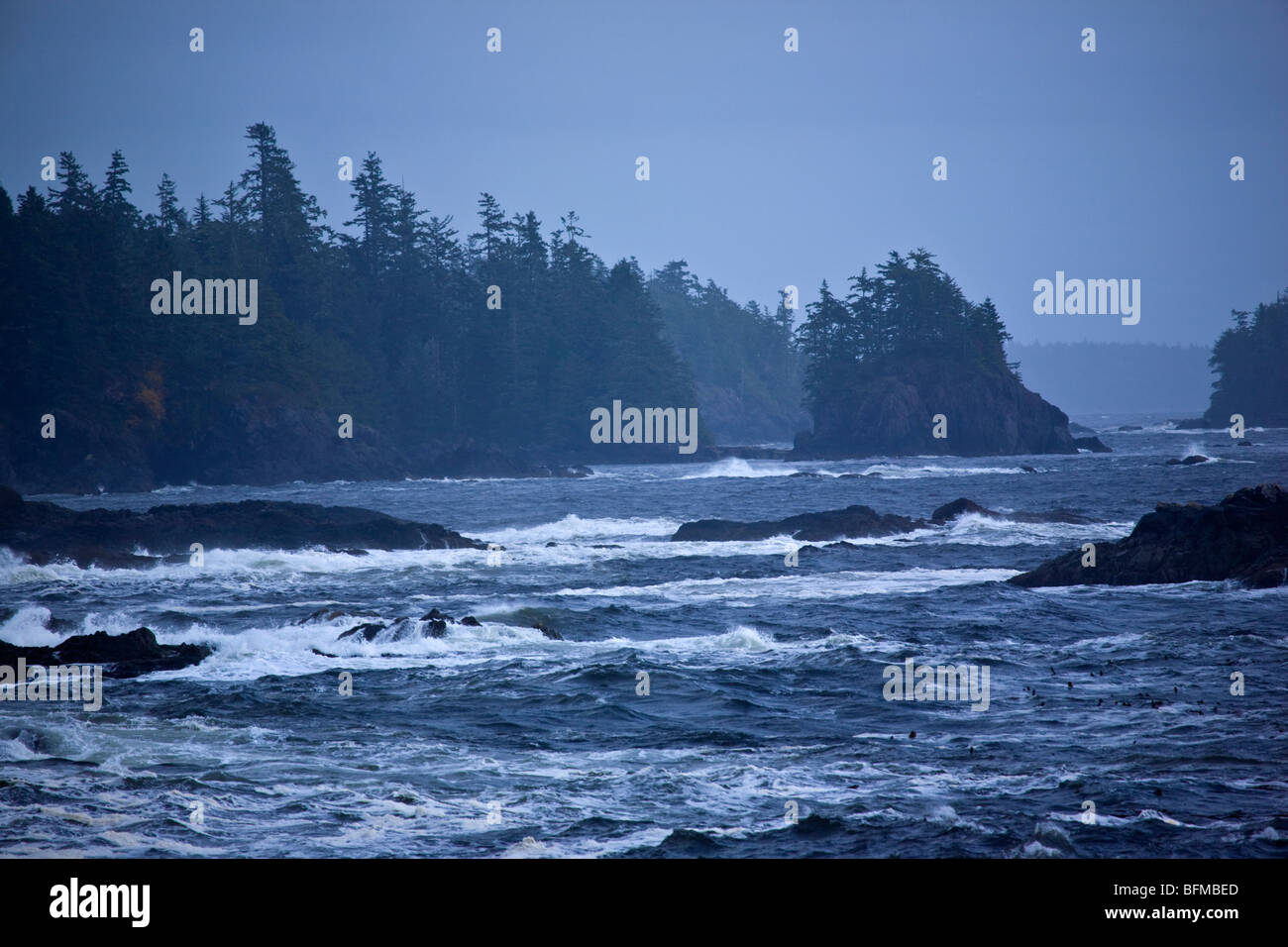 Canada, British Columbia, Vancouver Island, Ucluelet, Wild Pacific Trail, tempesta costiera. Foto Stock