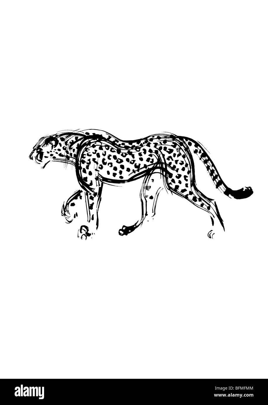 Leopardo nero immagini e fotografie stock ad alta risoluzione - Alamy