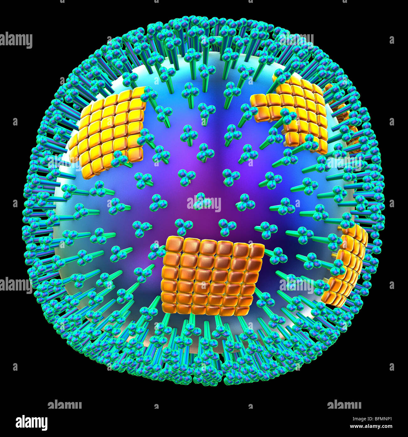 H1N1 virus influenzale particella, artwork Foto Stock