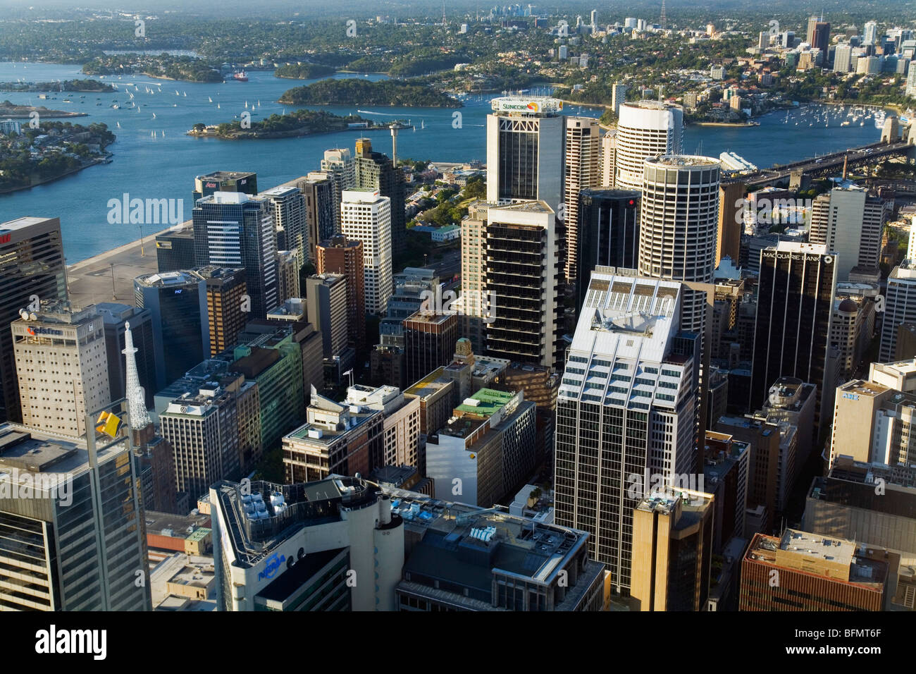 Australia, Nuovo Galles del Sud di Sydney. Vista della città e del porto di Sydney Tower observation deck. Foto Stock