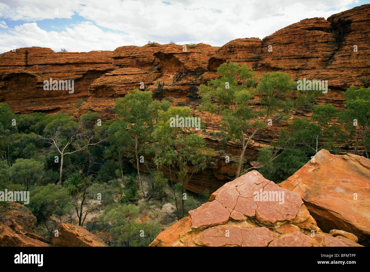 Australia, Territorio del Nord, Watarrka (Kings Canyon) Parco Nazionale. Il giardino di Eden - una piscina naturale in Kings Canyon. (PR) Foto Stock