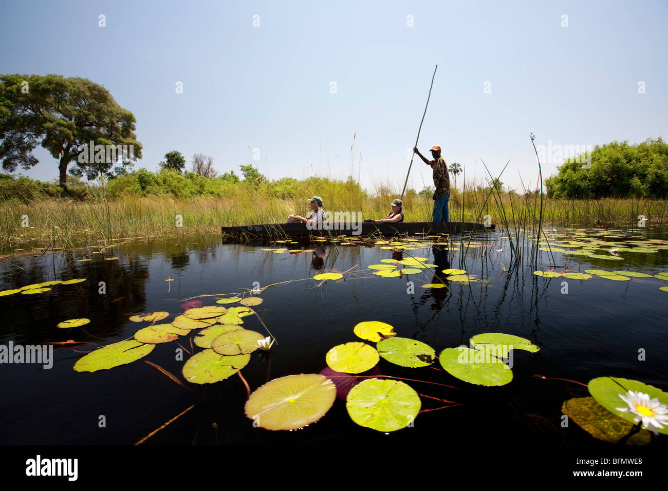 Il Botswana, Okavango Delta. Una guida locale sterline un mokoro attraverso i canali del delta dell'Okavango Foto Stock