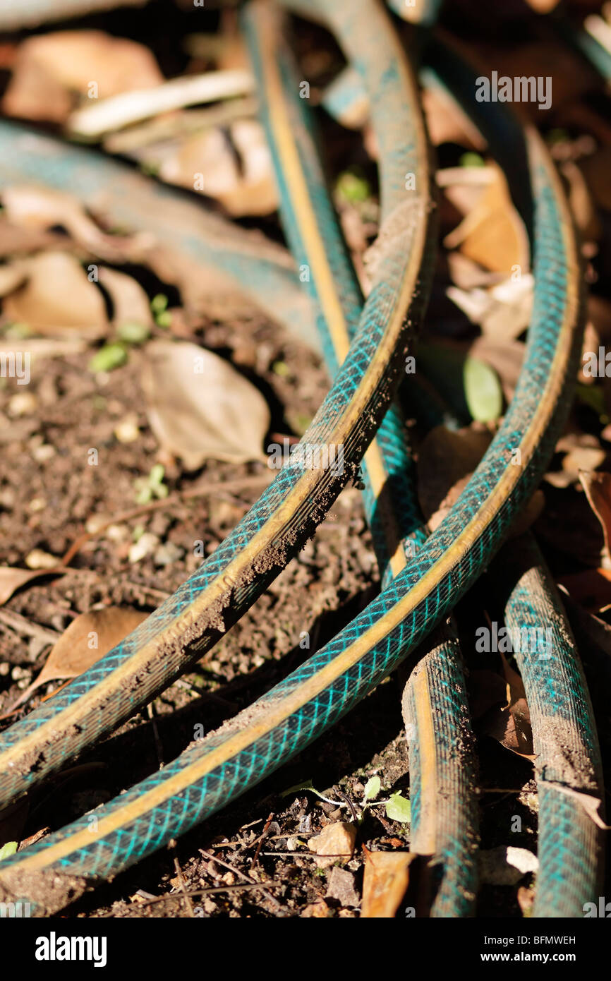 Sporco spiralato tubo flessibile giacente in giardino Foto Stock