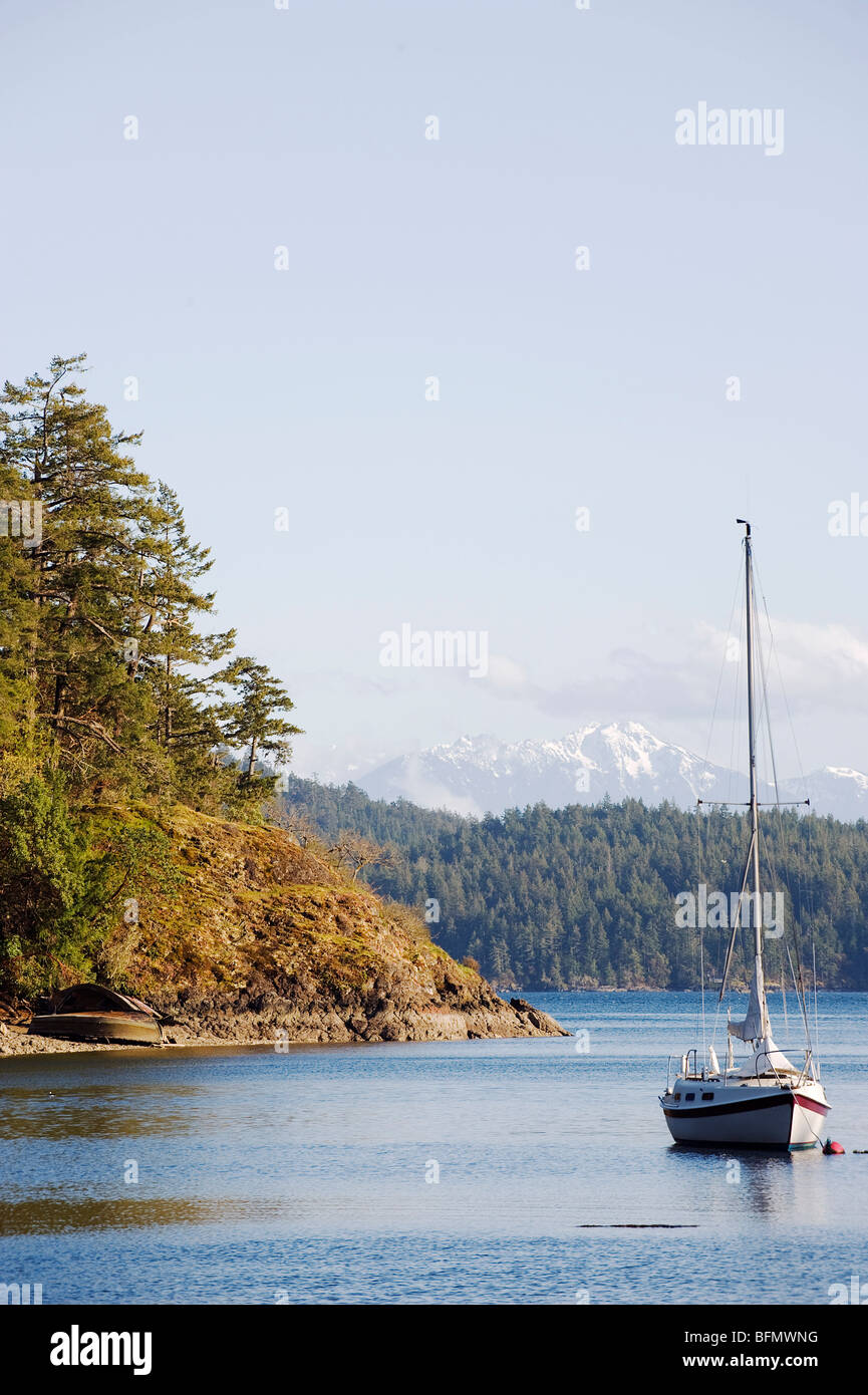 Canada, British Columbia, l'isola di Vancouver, Victoria, insenatura costiera Foto Stock