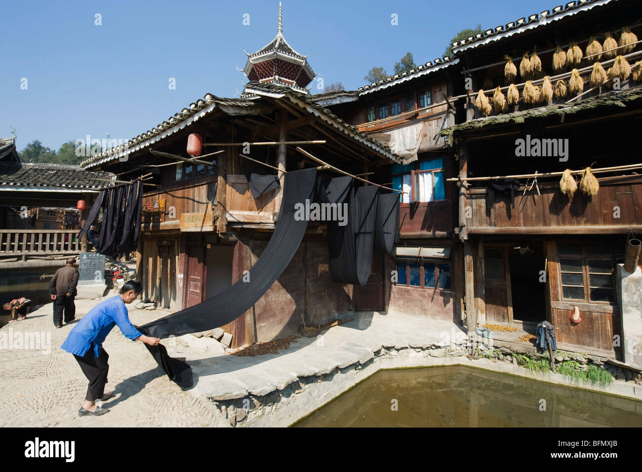 Cina, Guizhou, Zhaoxing Dong village; donna Indigo di essiccazione Foto Stock