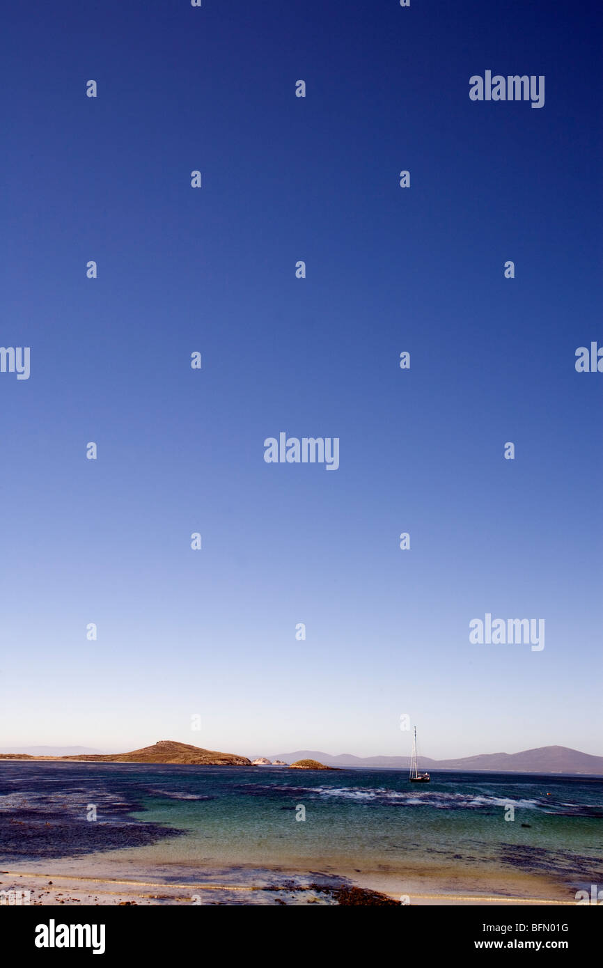 Isole Falkland, Isola di carcassa. Vista sul Porto Pattison verso Beechams Island e West Falkland (sfondo). Foto Stock