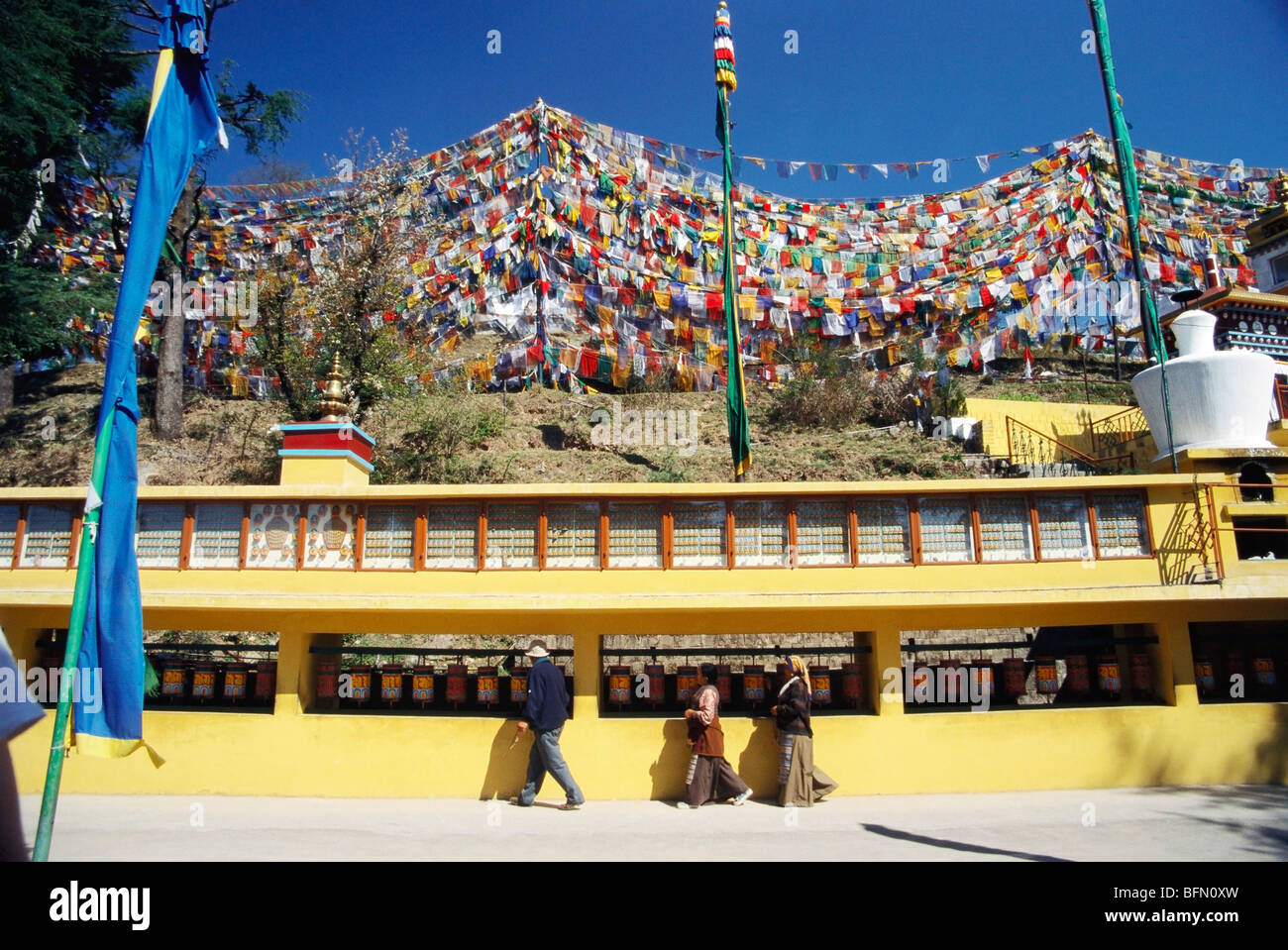Bandiere buddiste di preghiera ; monastero di Namgyal ; Mcleod Ganj ; Dharamshala ; Himachal Pradesh ; India ; Asia Foto Stock