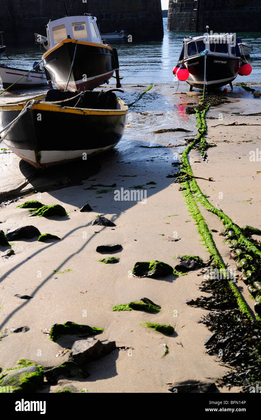 Barche nel porto di Mousehole, Cornwall Foto Stock