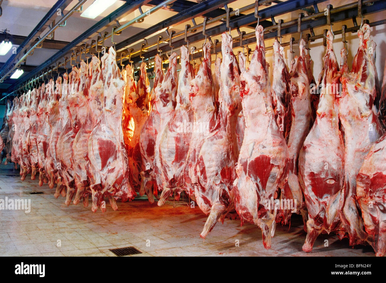 Casa di macello Foto Stock