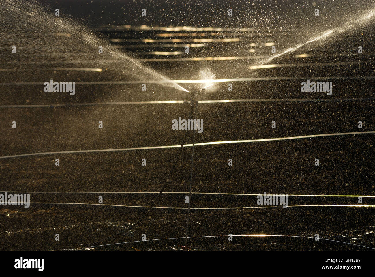 Israele Negev, campi di irrigazione con sprinkler Foto Stock