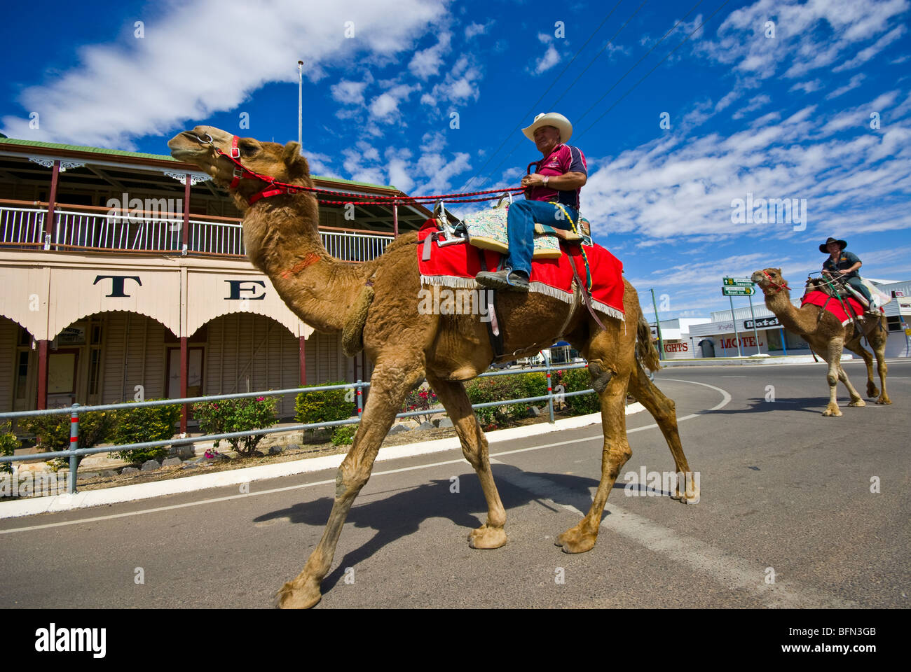 In un paese di campagna bush caratteri a piedi il loro team di corse di cammelli. Foto Stock