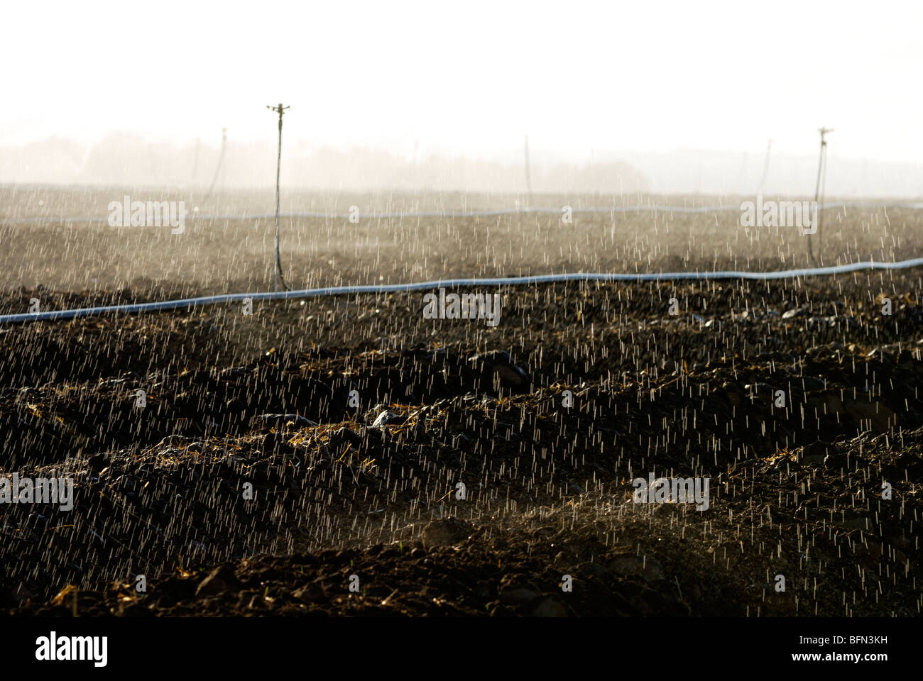 Israele Negev, campi di irrigazione con sprinkler Foto Stock