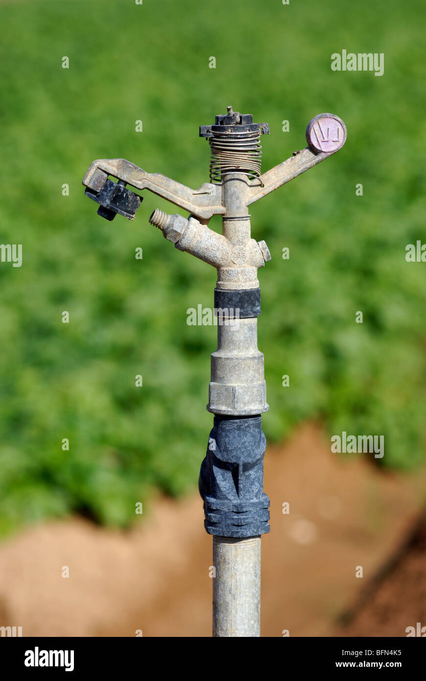 Israele Negev, close up di un impianto sprinkler a secco Foto Stock