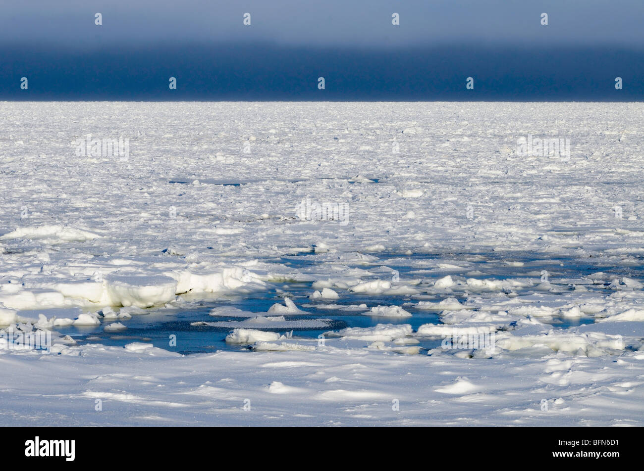 Baia di Hudson costa all'inizio dell'inverno, Churchill, Manitoba, Canada Foto Stock