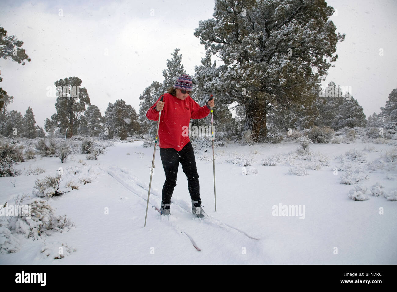 Un cross country o nordic sciatore naviga su un sentiero durante una tempesta di neve in Bandlands Wilderness Area vicino a Bend, Oregon Foto Stock