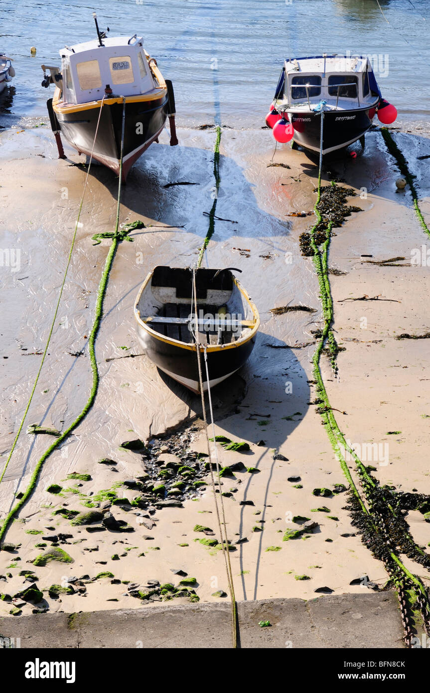 Barche nel porto di Mousehole, Cornwall Foto Stock