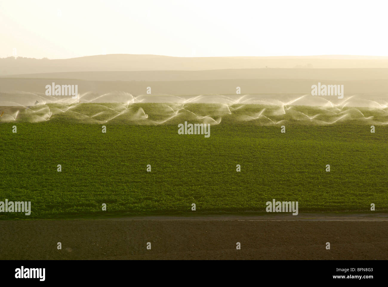 Israele Negev, campi di irrigazione con sprinkler Foto Stock
