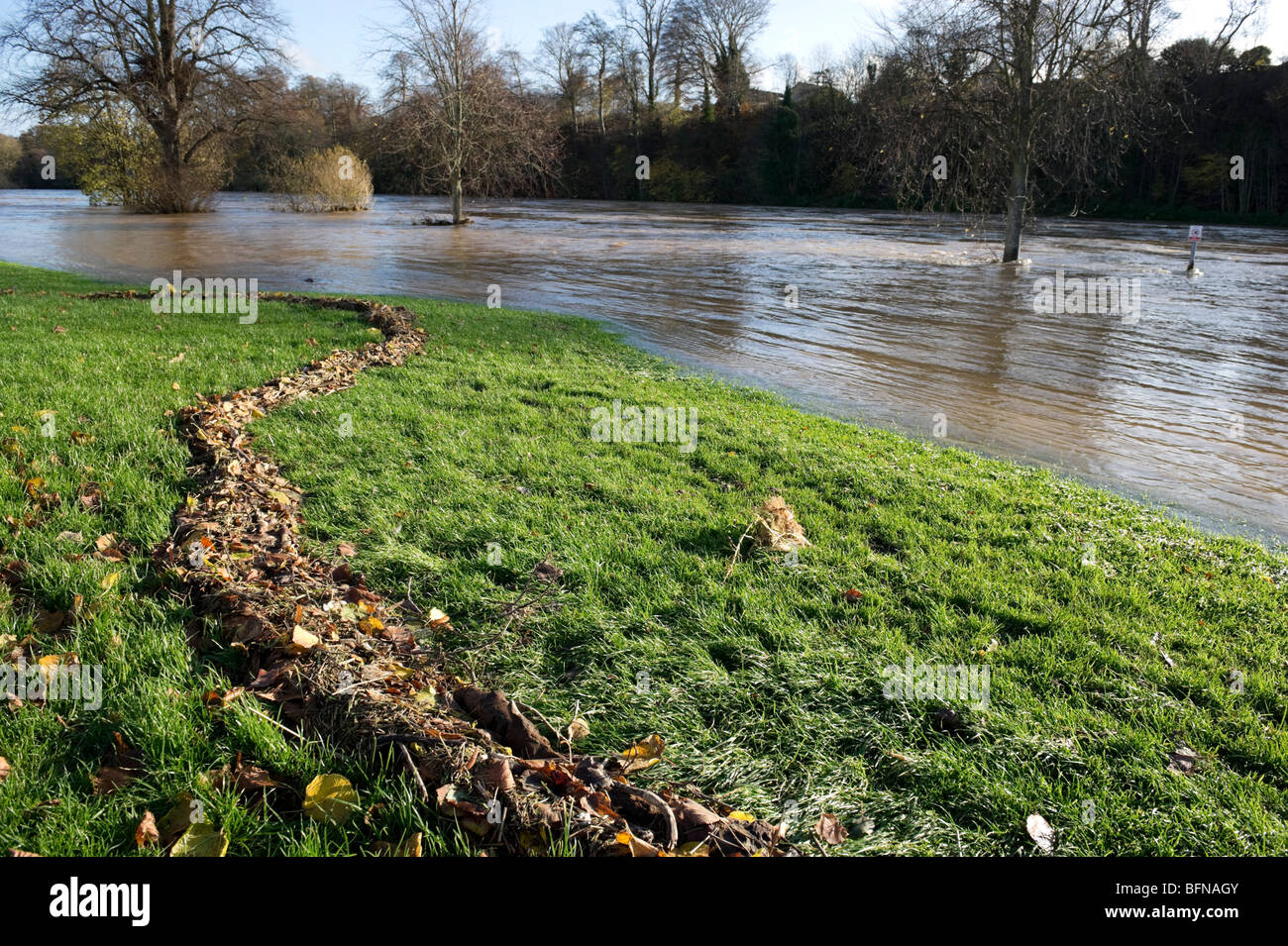 Fiume Tweed a Kelso in Scozia a novembre 2009 l'acqua di allagamento livelli in ondata pesantemente interramento da farm runoff del suolo Foto Stock