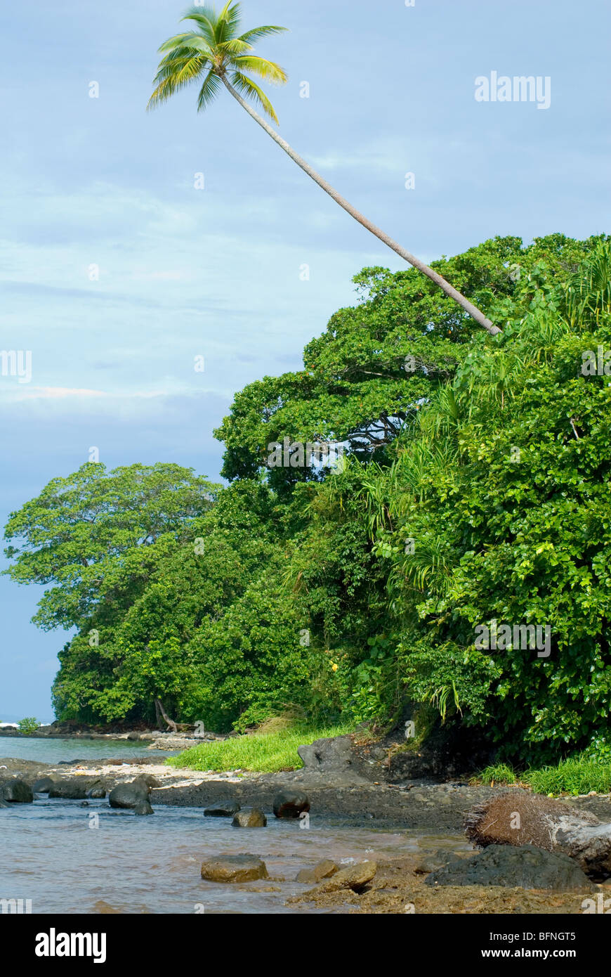 Tranquilla insenatura sull isola Ghizo, provincia occidentale, Isole Salomone Foto Stock