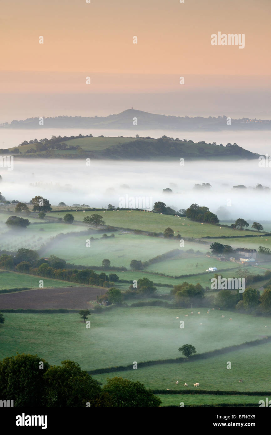 Un foggy sunrise oltre i livelli di Somerset che mostra Ben Knowle Hill davanti a Glastonbury Tor Foto Stock