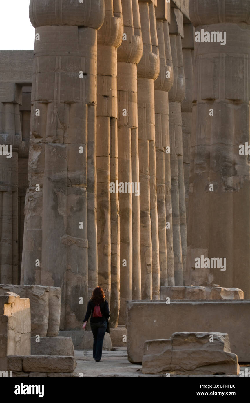 Colonne del Tempio di Luxor in Egitto. Foto Stock