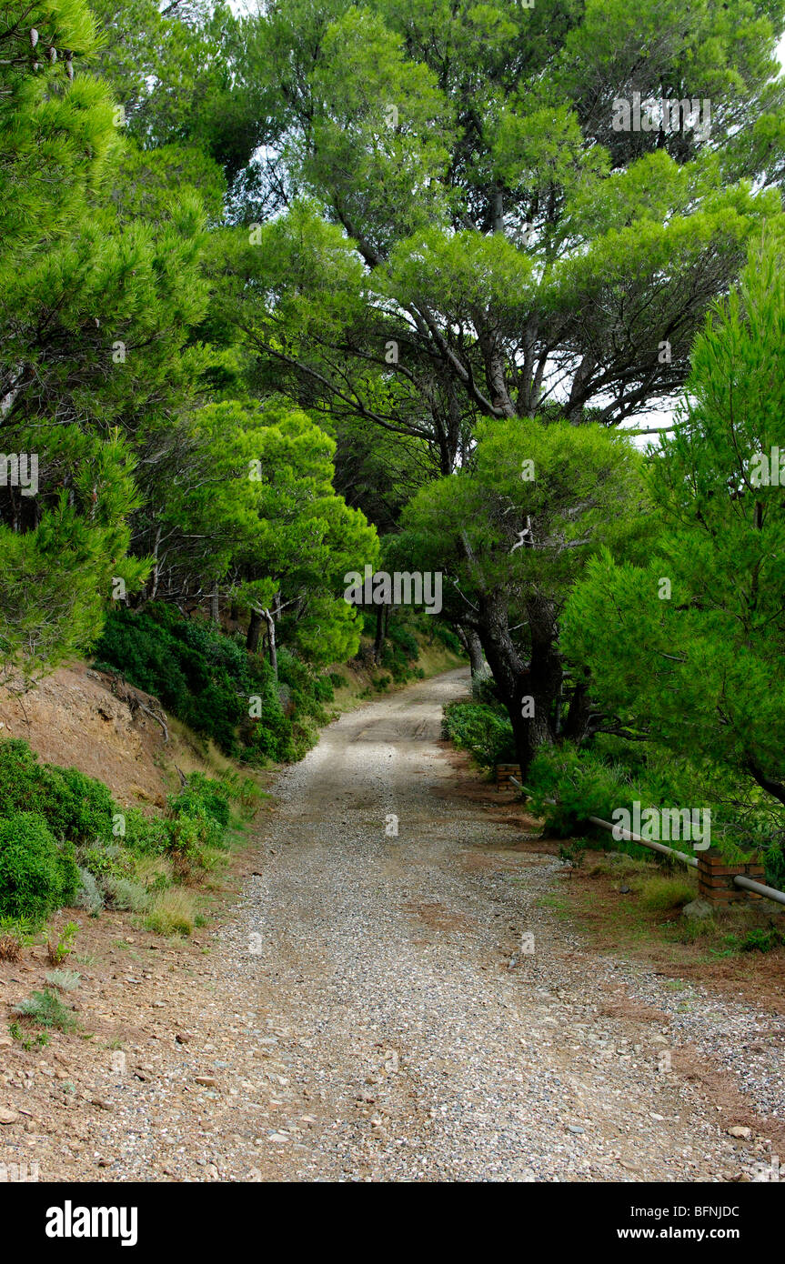 Isola di Gorgona, Arcipelago Toscano, l'Italia, il percorso Foto Stock