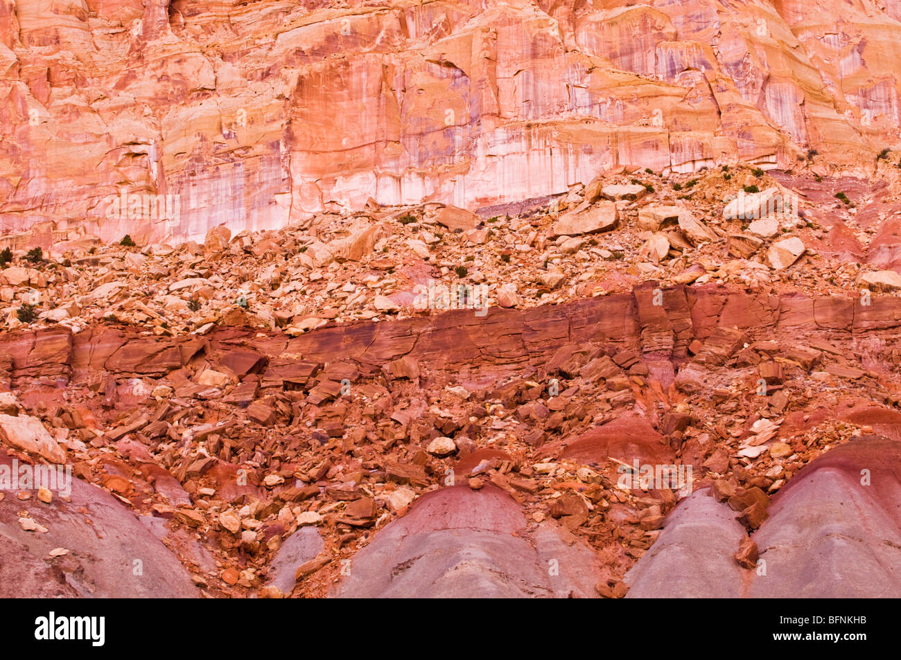 Strati colorati del Waterpocket Fold, Capitol Reef National Park nello Utah Foto Stock