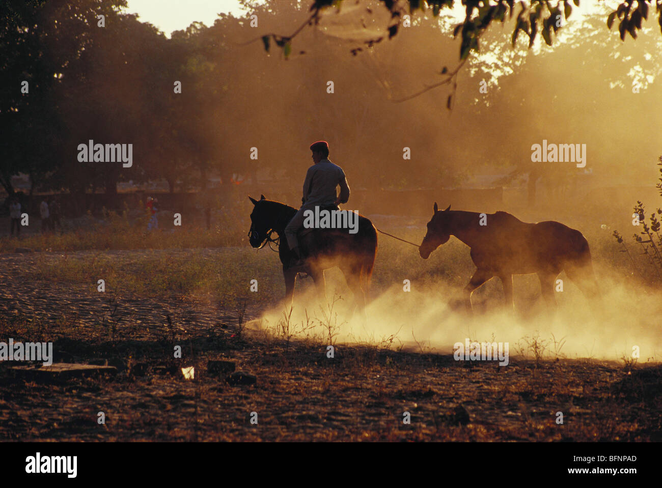 Addestramento dei cavalli nella scuola di equitazione ; Jaipur ; Rajasthan ; India ; asia Foto Stock