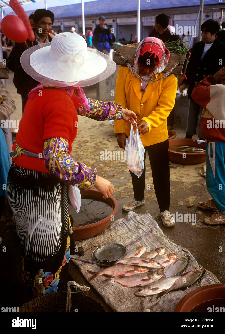 Cina Yunnan, Xishuangbanna, Menghun, mercato di domenica, pesce in stallo Foto Stock