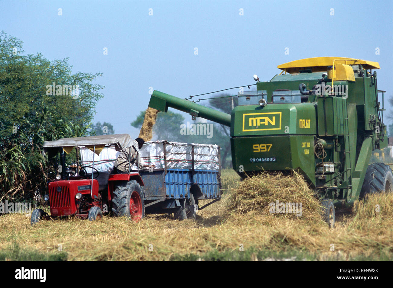 Mietitrice per la raccolta del grano nel campo Gurudaspur Punjab India asia agricoltura indiana Foto Stock
