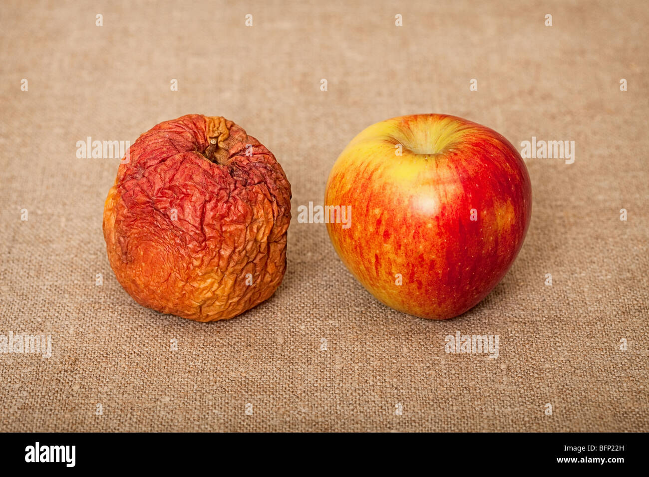 Due frutto contro una tela - bad e buone mele Foto Stock