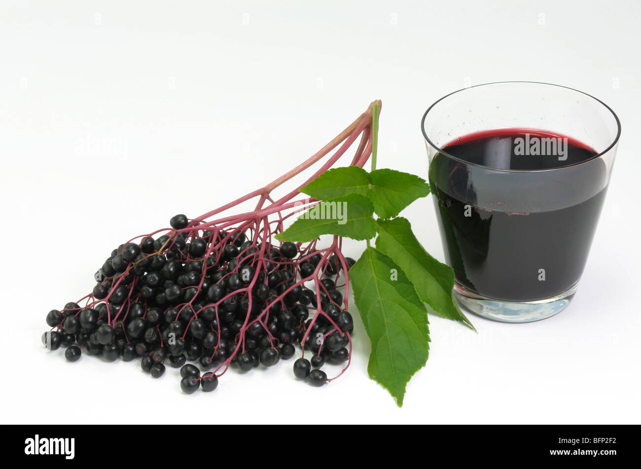 Il nero SAMBUCO bacche di sambuco (Sambucus nigra). Bacche mature, foglia e un bicchiere di succo di frutta, studio immagine. Foto Stock