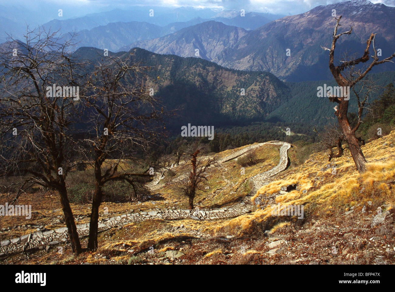 Tungnath trek ; Chopta ; Rudraprayag ; Uttaranchal ; Uttarakhand ; India ; asia Foto Stock