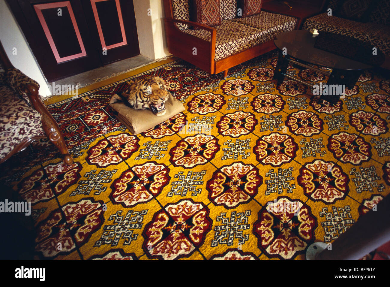 Tassidermia ; testa farcito della tigre sul tappeto ; Palazzo Sharad Bug ; Bhuj ; Kutch ; Kachchh ; Gujarat ; India ; Asia Foto Stock