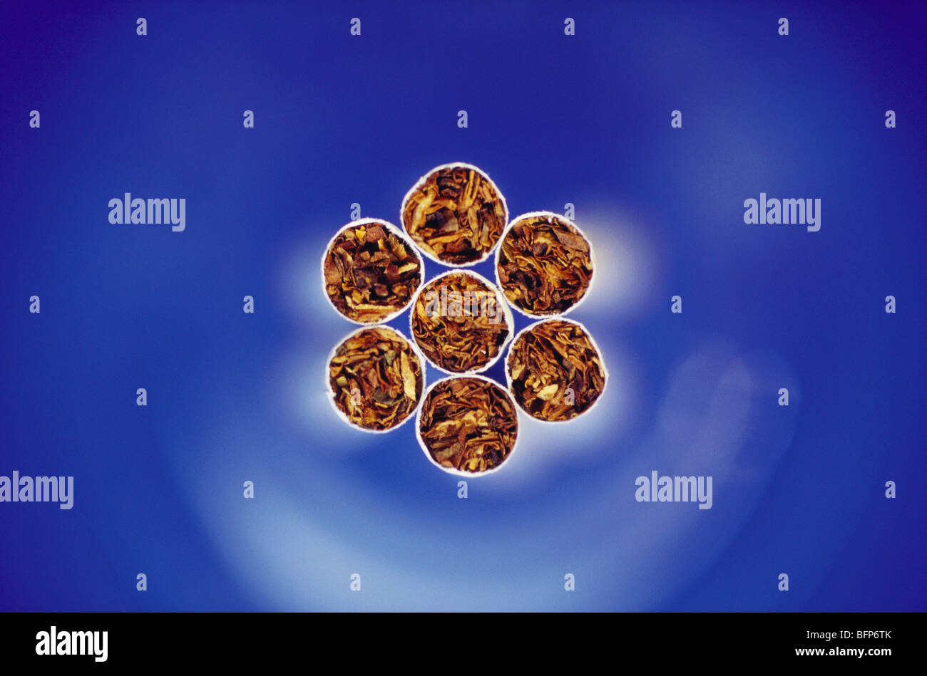 sette sigarette tabacco Foto Stock