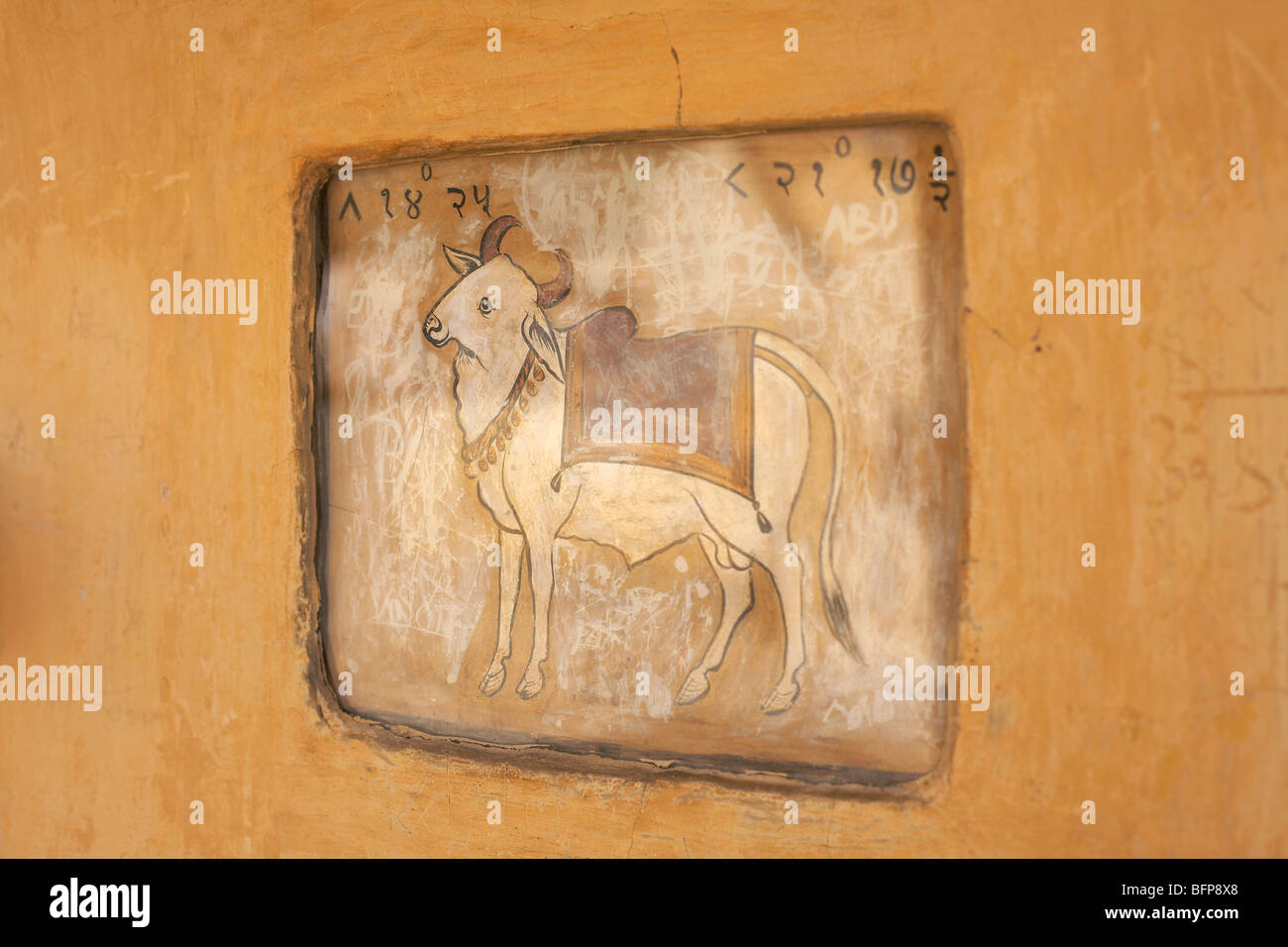 Segno zodiacale Toro Foto Stock