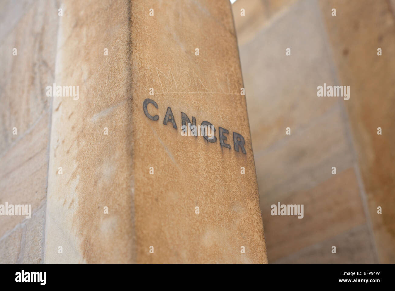 Segno zodiacale cancro Foto Stock