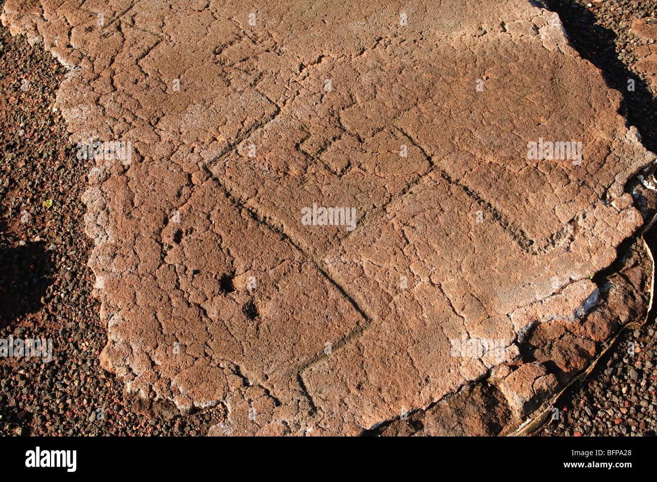 Incisioni rupestri, Big Island delle Hawaii. Foto Stock