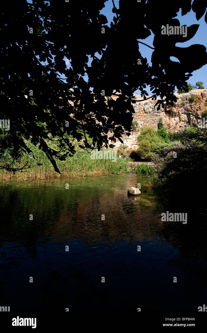 Baneas parco nazionale di sorgente del fiume Giordano,tempio al dio Pan Foto Stock