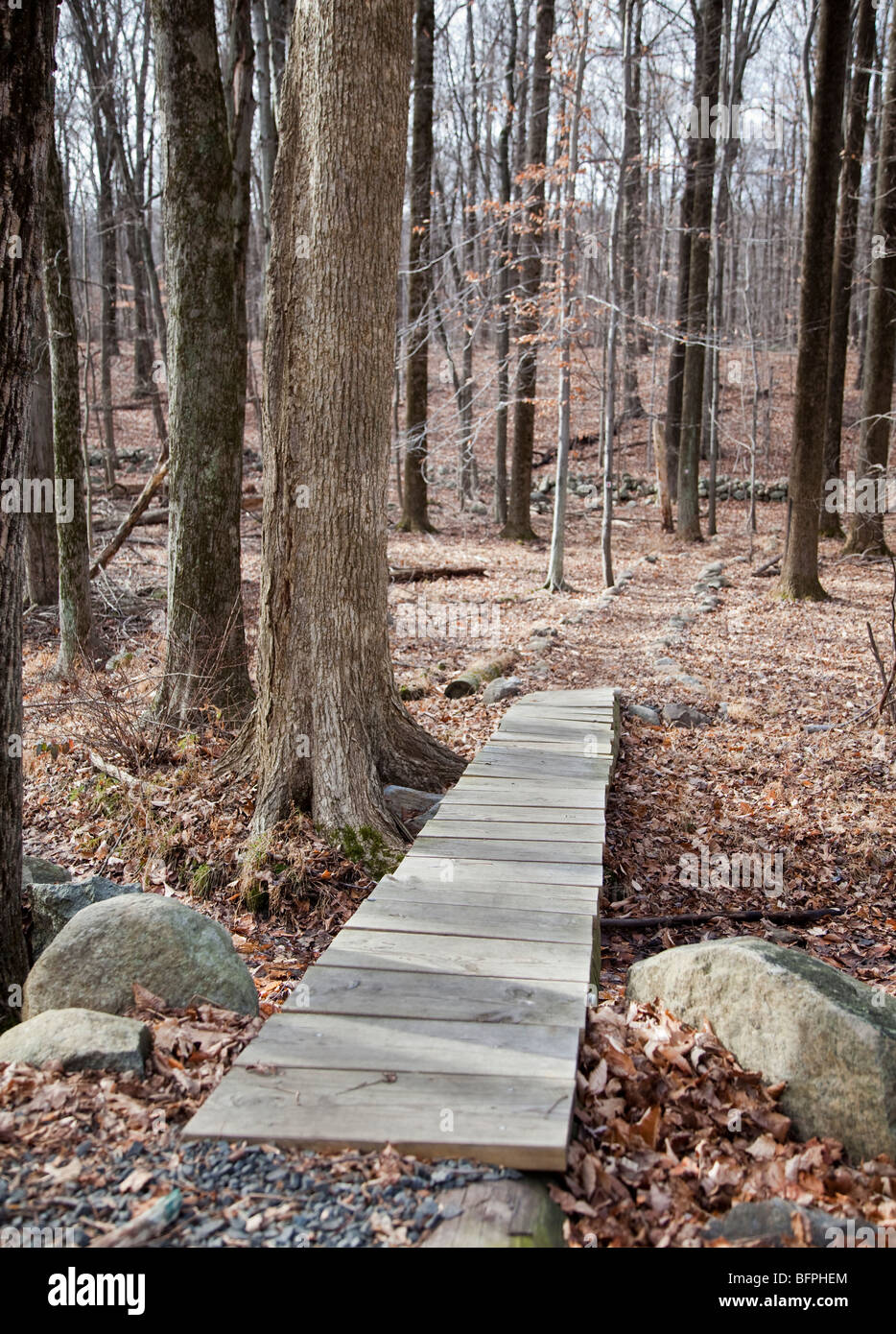 Una vecchia passerella in legno Foto Stock