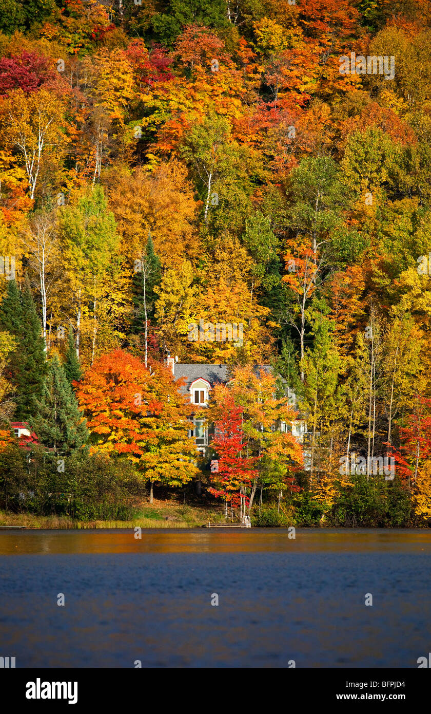 Una casa nel bosco in Quebec, Canada Foto Stock