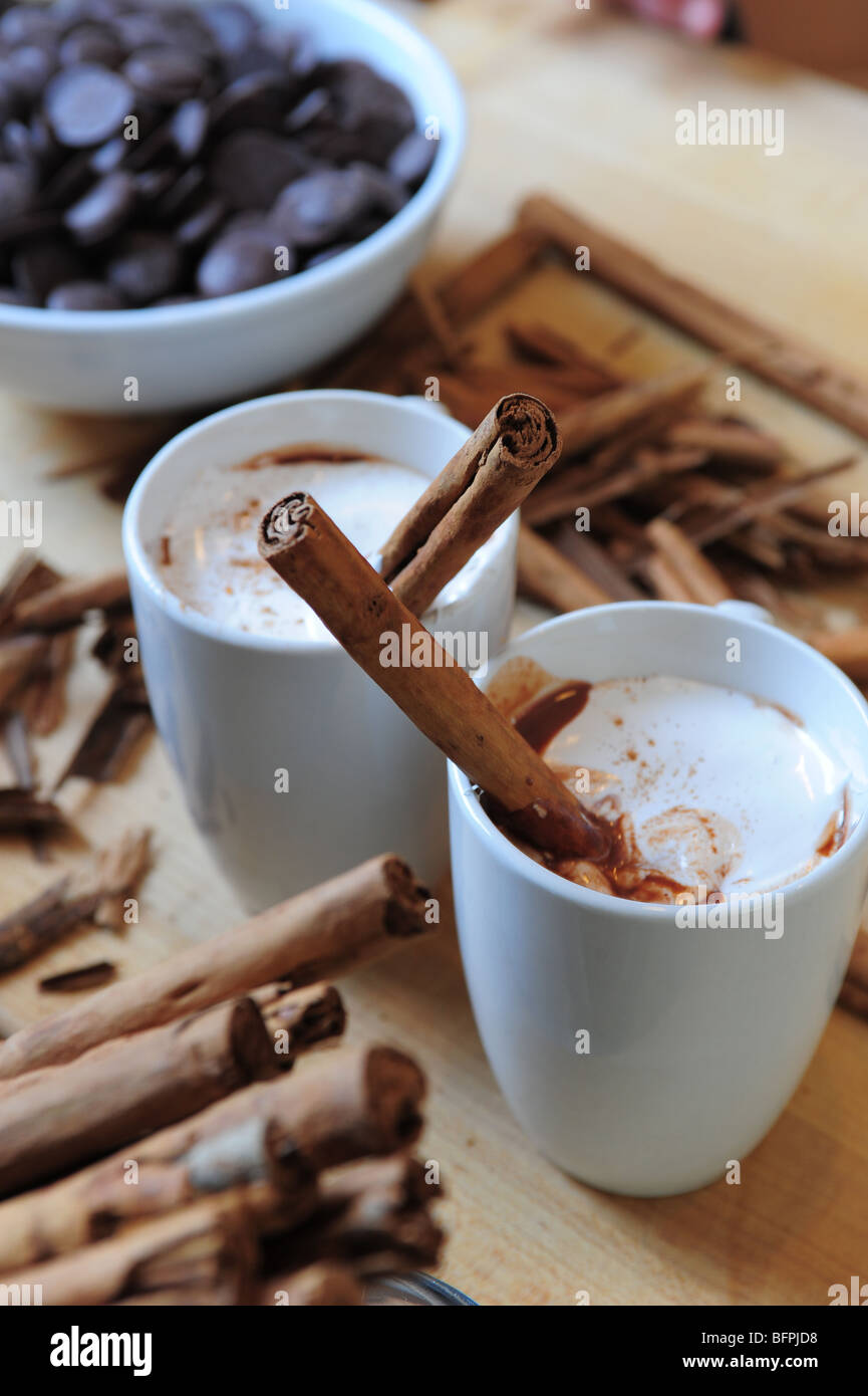 Alimento bevanda, la cioccolata calda con marshmallow sulla parte superiore fatto da zero- con bastoncini di cannella troppo Foto Stock